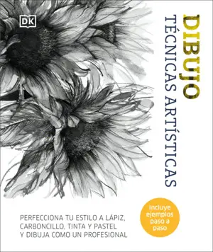 DIBUJO. TÉCNICAS ARTÍSTICAS DIBUJO. TÉCNICAS ARTÍSTICAS