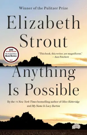 ANYTHING IS POSSIBLE, A NOVEL