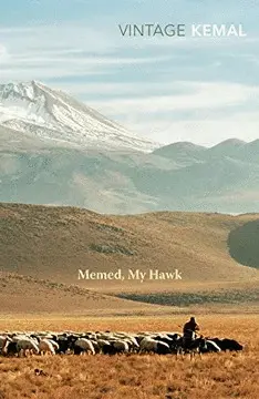 MEMED MY HAWK MEMED MY HAWK