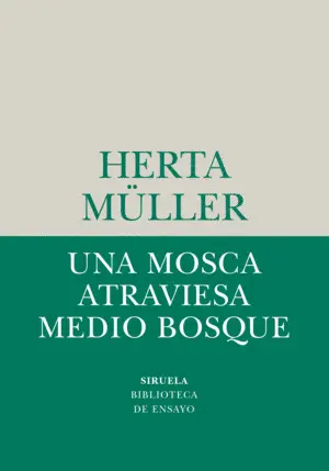 UNA MOSCA ATRAVIESA MEDIO BOSQUE