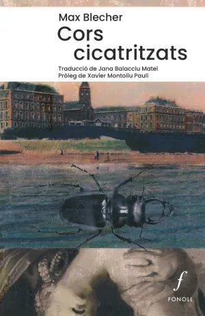 CORS CICATRITZATS