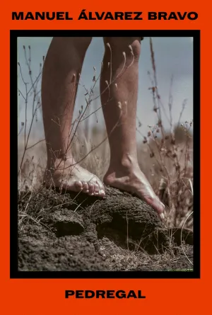 MANUEL ALVAREZ BRAVO. PEDREGAL