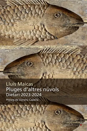 PLUGES D'ALTRES NÚVOLS