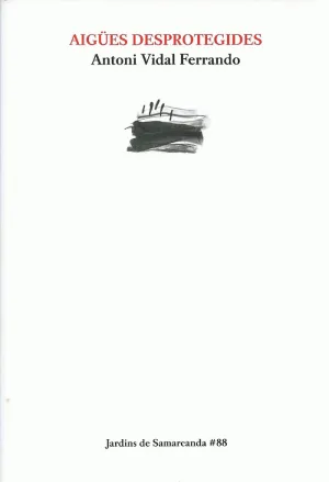 AIGÜES DESPROTEGIDES