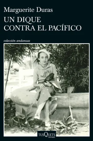 UN DIQUE CONTRA EL PACÍFICO