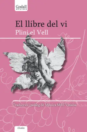 EL LLIBRE DEL VI