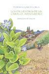 LOS ENCUENTROS DE UN CARACOL AVENTURERO LOS ENCUENTROS DE UN CARACOL AVENTURERO