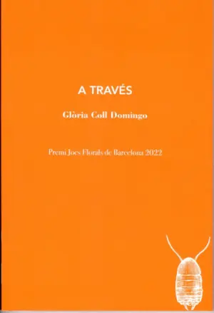 A TRAVÉS