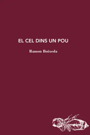 EL CEL DINS UN POU