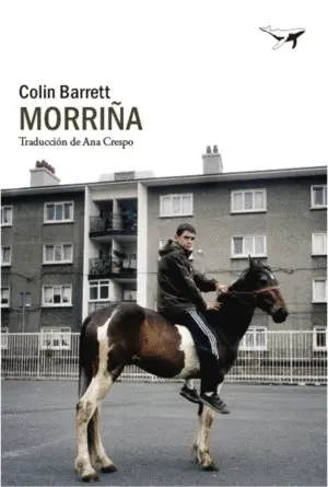 MORRIÑA MORRIÑA