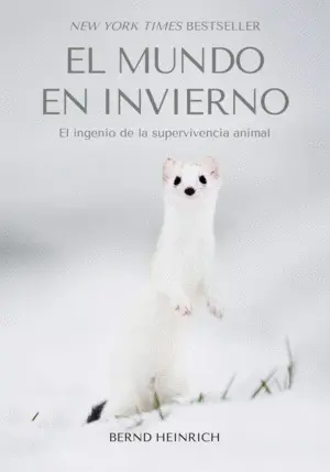EL MUNDO EN INVIERNO