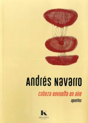 CABEZA ENVUELTA EN AIRE CABEZA ENVUELTA EN AIRE