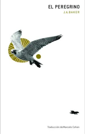 PEREGRINO, EL (SEGUNDA EDICIÓN)