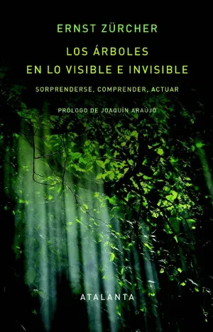LOS ÁRBOLES EN LO VISIBLE E INVISIBLE LOS ÁRBOLES EN LO VISIBLE E INVISIBLE