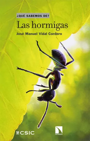 HORMIGAS,LAS
