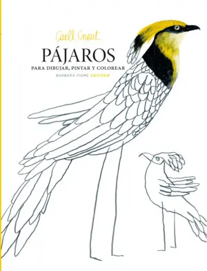 PAJAROS PARA DIBUJAR, PINTAR Y COLOREAR