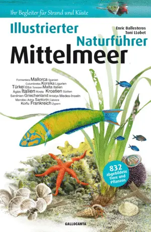 MITTELMEER - ILLUSTRETER NATURFÜHRER MITTELMEER - ILLUSTRETER NATURFÜHRER