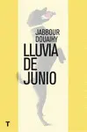 LLUVIA DE JUNIO LLUVIA DE JUNIO