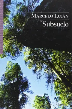 SUBSUELO SUBSUELO