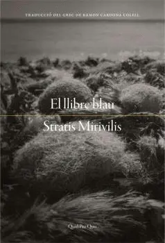 EL LLIBRE BLAU