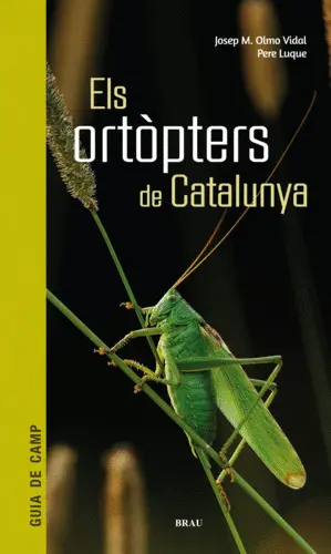 ELS ORTÒPTERS DE CATALUNYA ELS ORTÒPTERS DE CATALUNYA