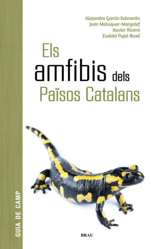 ELS AMFIBIS DELS PAÏSOS CATALANS ELS AMFIBIS DELS PAÏSOS CATALANS
