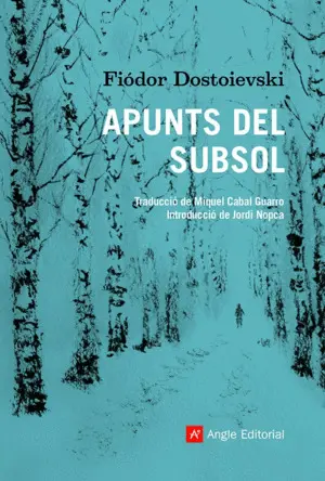 APUNTS DEL SUBSÒL APUNTS DEL SUBSÒL