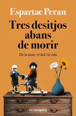 TRES DESITJOS ABANS DE MORIR TRES DESITJOS ABANS DE MORIR