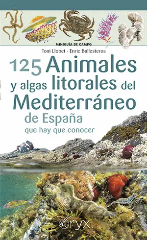 125 ANIMALES Y ALGAS LITORALES DEL MEDITERRÁNEO DE ESPAÑA QUE HAY QUE CONOCER 125 ANIMALES Y ALGAS LITORALES DEL MEDITERRÁNEO DE ESPAÑA QUE HAY QUE CONOCER