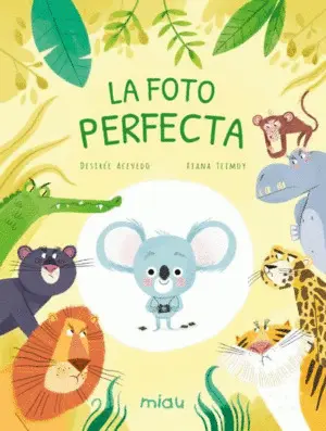 LA FOTO PERFECTA LA FOTO PERFECTA