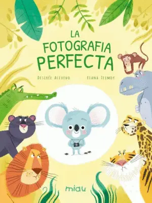 LA FOTOGRAFIA PERFECTA LA FOTOGRAFIA PERFECTA
