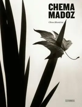 OBRAS MAESTRAS CHEMA MADOZ QUINTA EDICIÓN. OBRAS MAESTRAS CHEMA MADOZ QUINTA EDICIÓN.