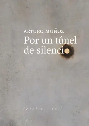 POR UN TÚNEL DE SILENCIO POR UN TÚNEL DE SILENCIO