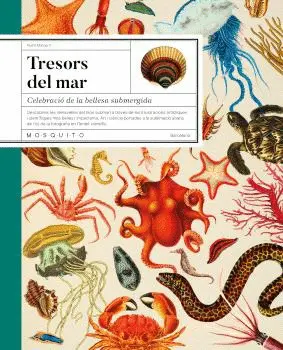 TRESORS DEL MAR TRESORS DEL MAR