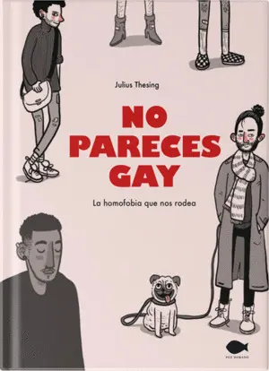 NO PARECES GAY NO PARECES GAY