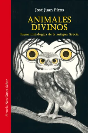 ANIMALES DIVINOS ANIMALES DIVINOS