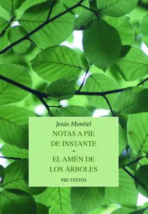 NOTAS A PIE DE INSTANTE / EL AMÉN DE LOS ÁRBOLES NOTAS A PIE DE INSTANTE / EL AMÉN DE LOS ÁRBOLES