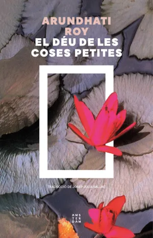 EL DÉU DE LES COSES PETITES