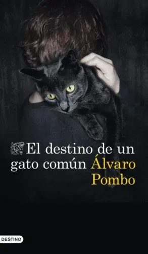 EL DESTINO DE UN GATO COMUN EL DESTINO DE UN GATO COMUN
