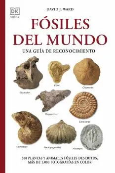 FÓSILES DEL MUNDO FÓSILES DEL MUNDO