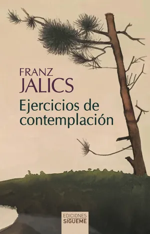EJERCICIOS DE CONTEMPLACIÓN EJERCICIOS DE CONTEMPLACIÓN
