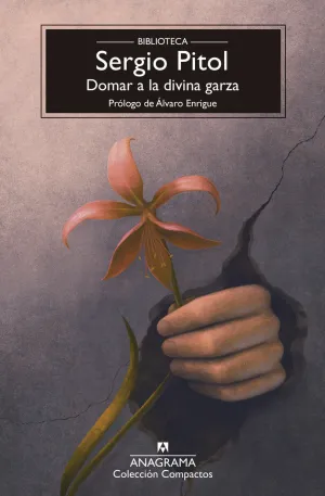 DOMAR A LA DIVINA GARZA