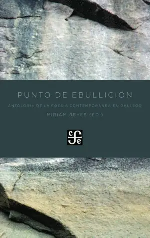 PUNTO DE EBULLICIÓN PUNTO DE EBULLICIÓN