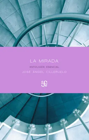 LA MIRADA