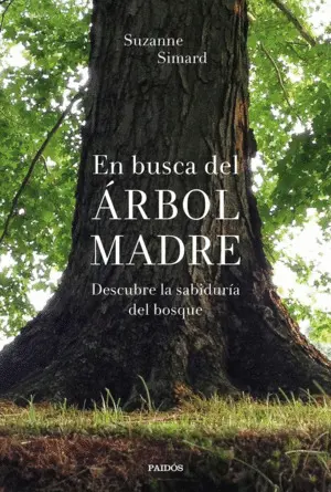 EN BUSCA DEL ÁRBOL MADRE EN BUSCA DEL ÁRBOL MADRE