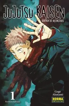 JUJUTSU KAISEN 01 (ED. REGULAR) JUJUTSU KAISEN 01 (ED. REGULAR)