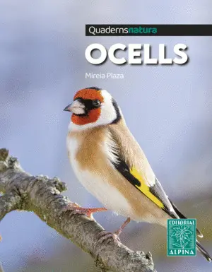 OCELLS OCELLS