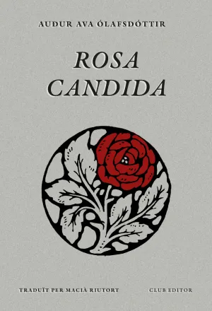 ROSA CANDIDA