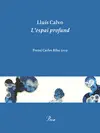 L'ESPAI PROFUND L'ESPAI PROFUND