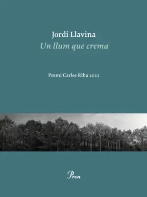 UN LLUM QUE CREMA